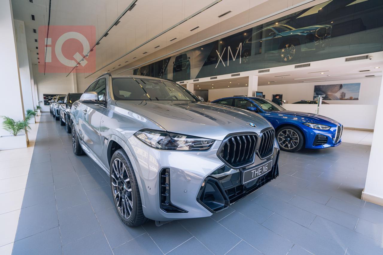 بی ئێم دەبڵیو X6